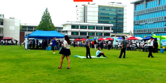 foodtruck_009_startup_005